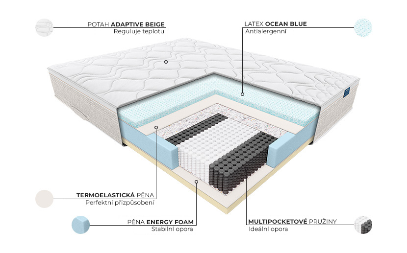Nolli - budowa